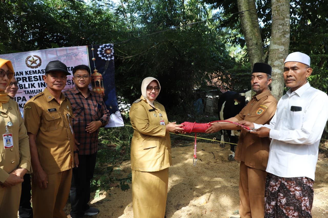 Sapi Kurban Bantuan Presiden Perkuat Semangat Kebersamaan dan Kerukunan Masyarakat Purworejo